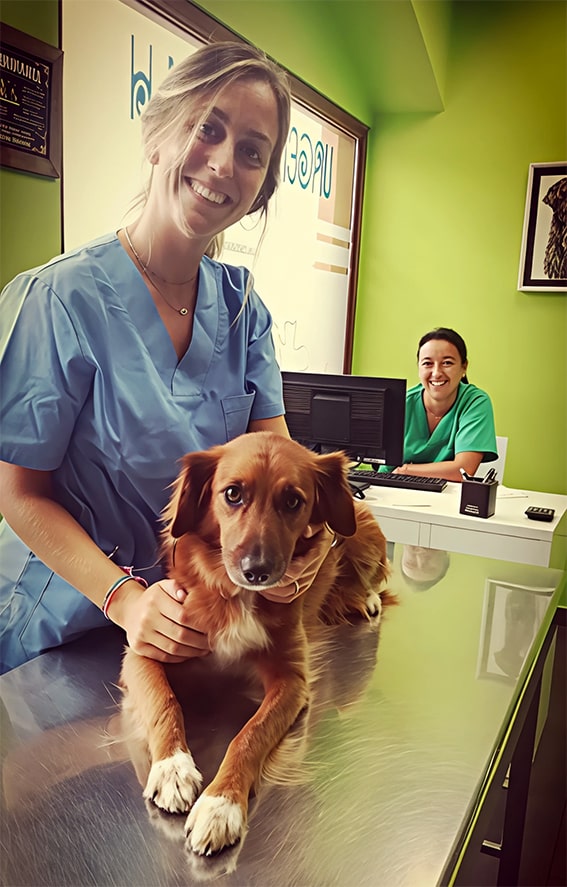 Clínica Veterinaria en Cantabria
