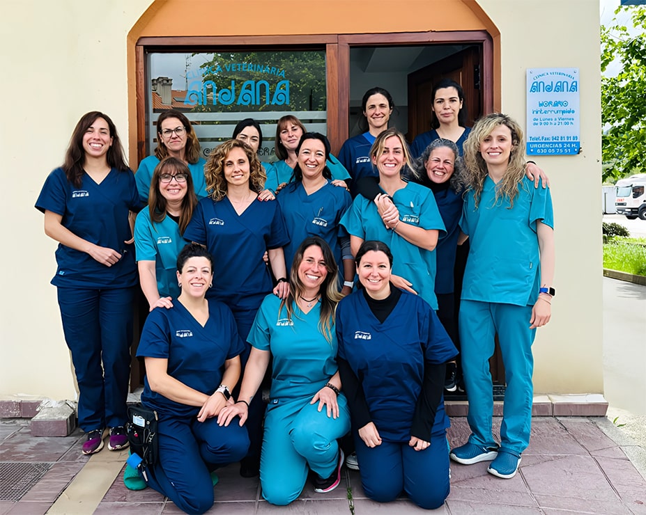 Clínica Veterinaria en Cantabria